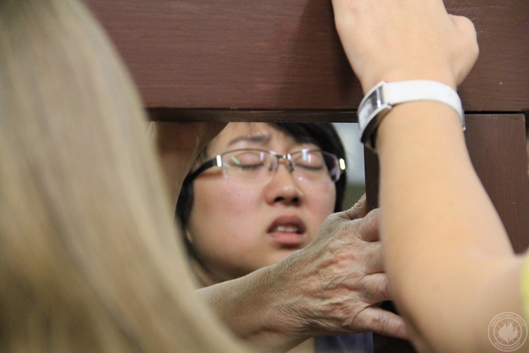 normal IMG 7714